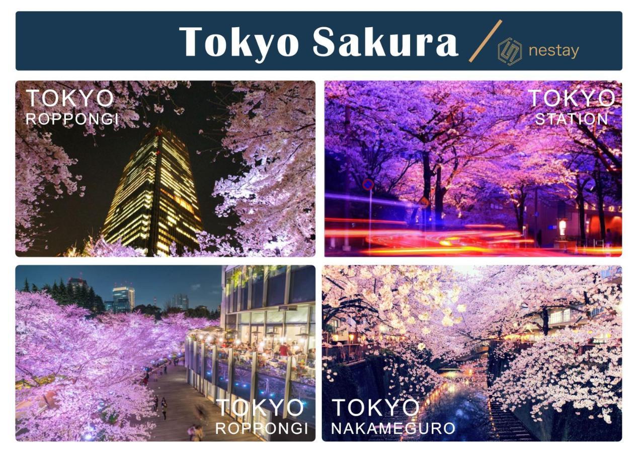 Apartamento Nestay Otsuka 201
